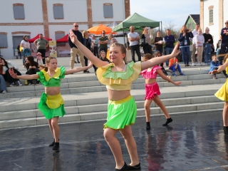 Pentelei Bornapok – idén először, de biztosan nem utoljára! - fotó: 