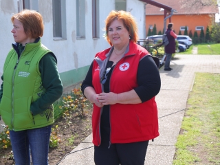 A környezettudatos közösségépítés jegyében - fotó: 