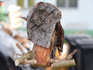 A környezettudatos közösségépítés jegyében - fotó: 