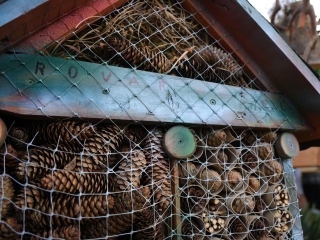 A környezettudatos közösségépítés jegyében - fotó: 