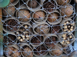 A környezettudatos közösségépítés jegyében - fotó: 