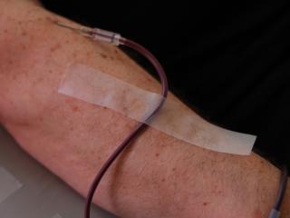 A környezettudatos közösségépítés jegyében - fotó: 