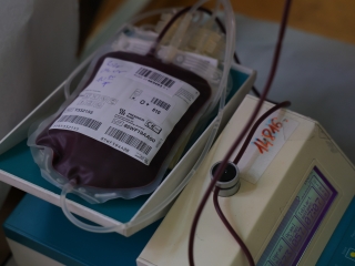 A környezettudatos közösségépítés jegyében - fotó: 