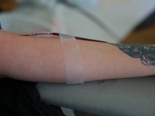 A környezettudatos közösségépítés jegyében - fotó: 