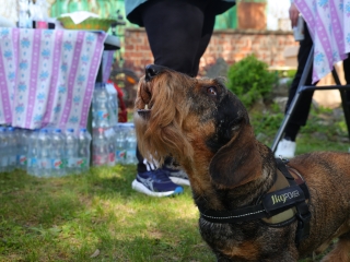 A környezettudatos közösségépítés jegyében - fotó: 