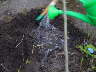 A környezettudatos közösségépítés jegyében - fotó: 