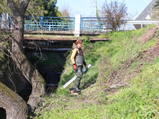 Kék Duna Projekt: közös szemétszedés a folyamnál - fotó: 