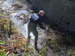 Kék Duna Projekt: közös szemétszedés a folyamnál - fotó: 