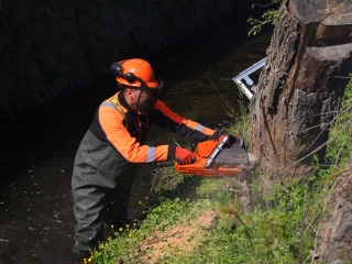 Kék Duna Projekt: közös szemétszedés a folyamnál - fotó: 