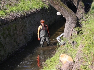 Kék Duna Projekt: közös szemétszedés a folyamnál - fotó: 