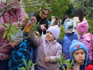 Húsvéti pompában a Városháza tér (galéria) - fotó: 