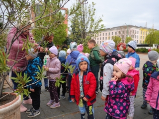 Húsvéti pompában a Városháza tér (galéria) - fotó: 