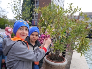 Húsvéti pompában a Városháza tér (galéria) - fotó: 