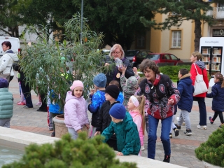 Húsvéti pompában a Városháza tér (galéria) - fotó: 