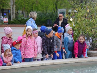 Húsvéti pompában a Városháza tér (galéria) - fotó: 