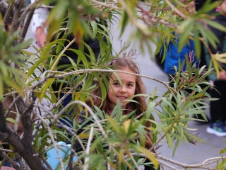 Húsvéti pompában a Városháza tér (galéria) - fotó: 