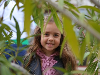 Húsvéti pompában a Városháza tér (galéria) - fotó: 