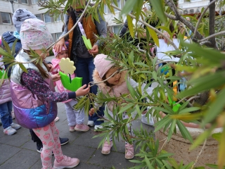 Húsvéti pompában a Városháza tér (galéria) - fotó: 