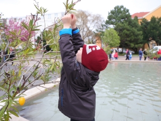Húsvéti pompában a Városháza tér (galéria) - fotó: 
