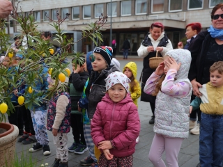 Húsvéti pompában a Városháza tér (galéria) - fotó: 