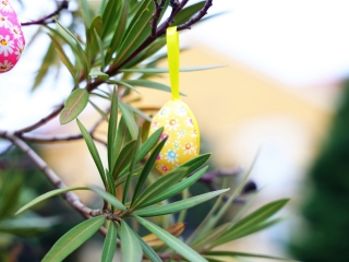 Húsvéti pompában a Városháza tér (galéria) - fotó: 