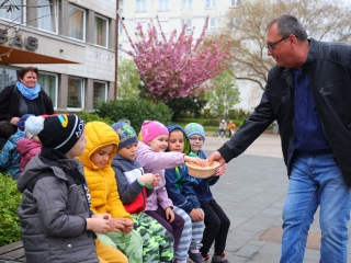 Húsvéti pompában a Városháza tér (galéria) - fotó: 
