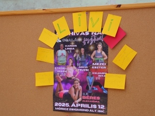 V. Kihívás Nap - fotó: 