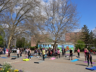 V. Kihívás Nap - fotó: 