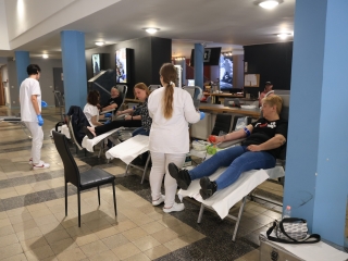 Sugárúti Fesztivál (2025) - fotó: 