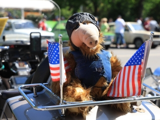 Sugárúti Fesztivál (2025) - fotó: 