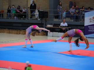 A hazai fitnesz legjobbjai mutatkoztak be - fotó: 