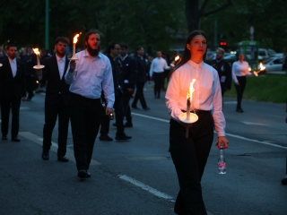 Szalamander (2025) - fotó: 