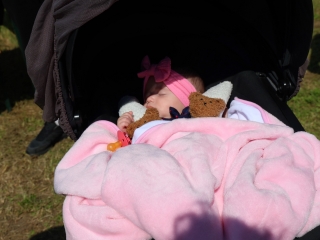 Parázs-Varázs + Ökonap: itt a teljes galéria (2025) - fotó: 