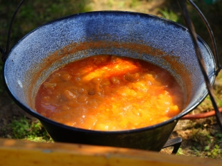 Parázs-Varázs + Ökonap: itt a teljes galéria (2025) - fotó: 