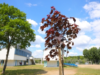 Parázs-Varázs + Ökonap: itt a teljes galéria (2025) - fotó: 