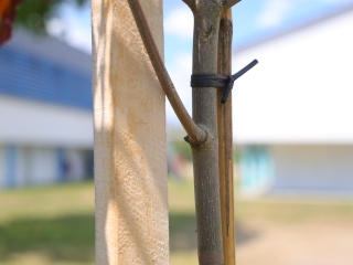 Parázs-Varázs + Ökonap: itt a teljes galéria (2025) - fotó: 