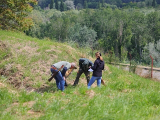 Célra tartottak a kőtárban - fotó: 