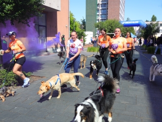 Jót, Fut a Város - Dunaújváros! (2025) - fotó: 