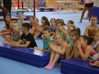 Tornászok köszöntése (2025) - fotó: 