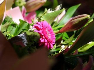 Díjátadó pedagógusoknak (2025) - fotó: 