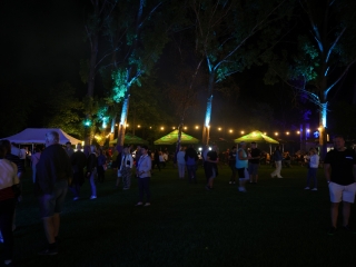 Ambrózia Fesztivál 2025 – első nap - fotó: 