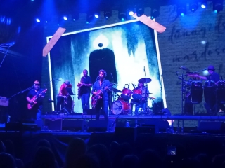 Ambrózia Fesztivál 2025 – harmadik nap - fotó: 