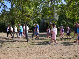 Múzeumok Éjszakája (2025) - fotó: 