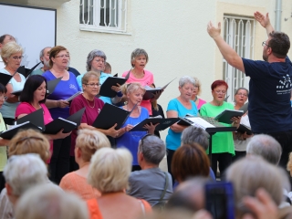 Parádés koncert a múzeumkertben - fotó: 