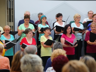 Parádés koncert a múzeumkertben - fotó: 