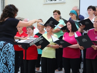 Parádés koncert a múzeumkertben - fotó: 