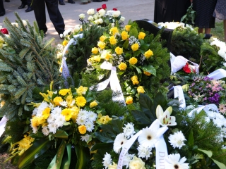 "... kitűnt a többiek közül" - fotó: 