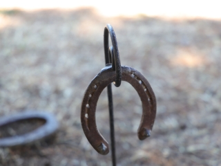 KönyvTér a Városháza téren (2025) - fotó: 