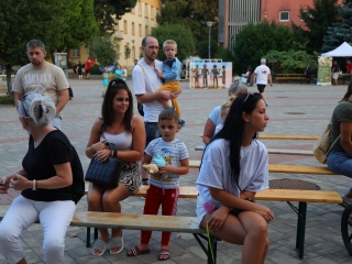 KönyvTér a Városháza téren (2025) - fotó: 