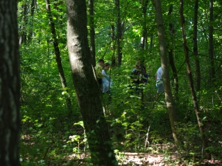 Együtt takarítottak a tiszta Dunaújvárosért! - fotó: 